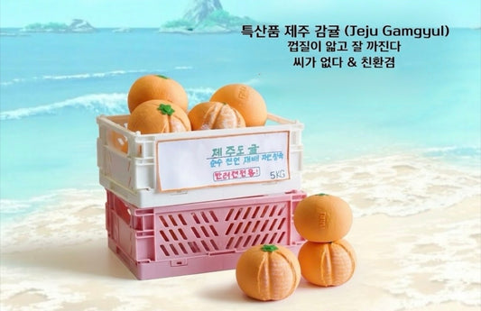 Jeju Gamgyul Dog Toy